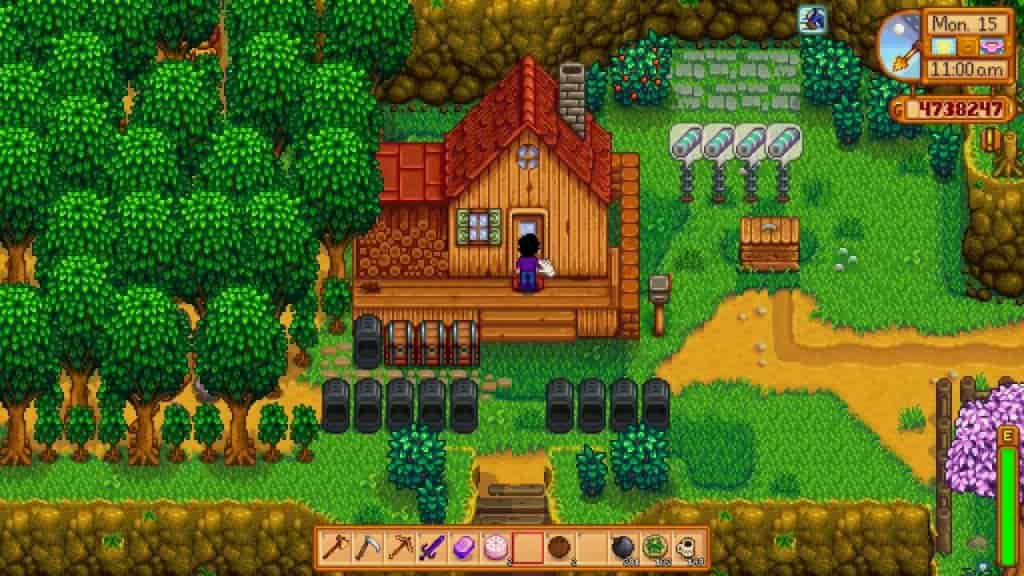 Stardew Valley